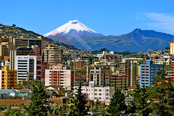 Alarmega Cercas Electricas Quito Ecuador Seguridad Perimetral con Trampas anti-movimiento dificil de disuadir