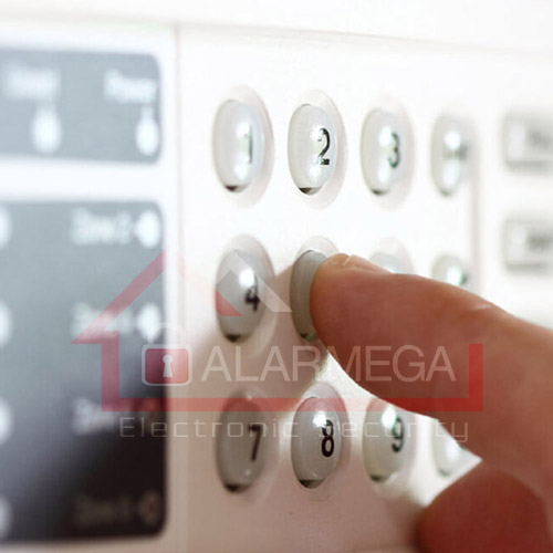 am-icono-m-alarmas_002v2.jpg